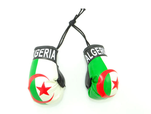 Algeria Boxing Gloves