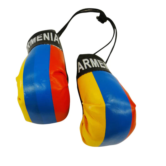 Armenia Boxing Gloves