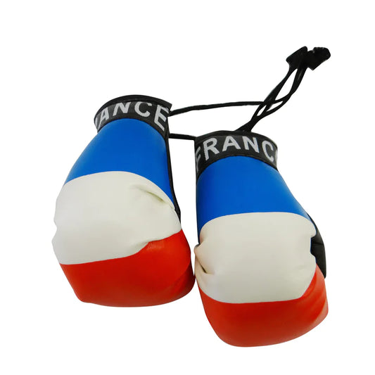 France Boxing Gloves