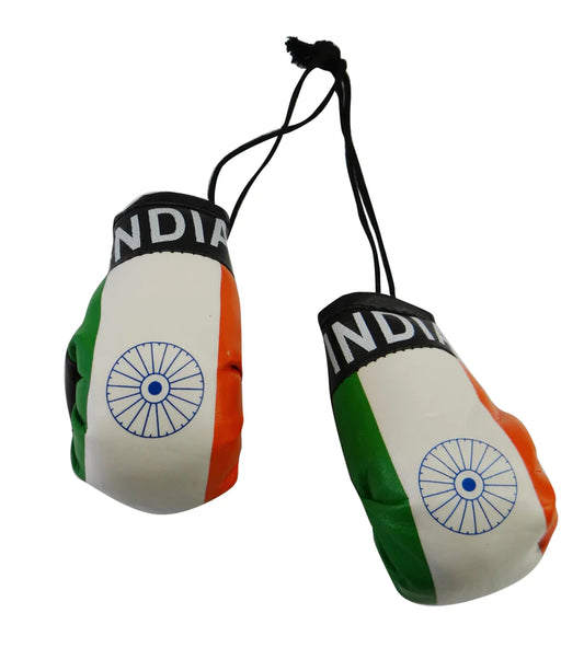India Boxing Gloves