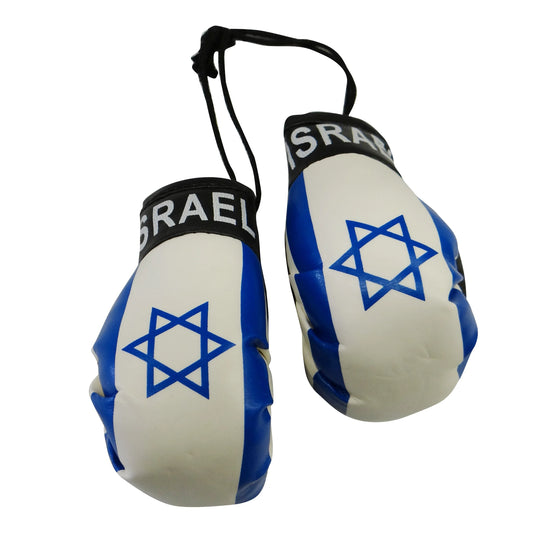 Israel Boxing Gloves