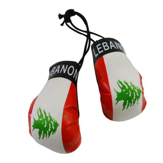 Lebanon Boxing Gloves