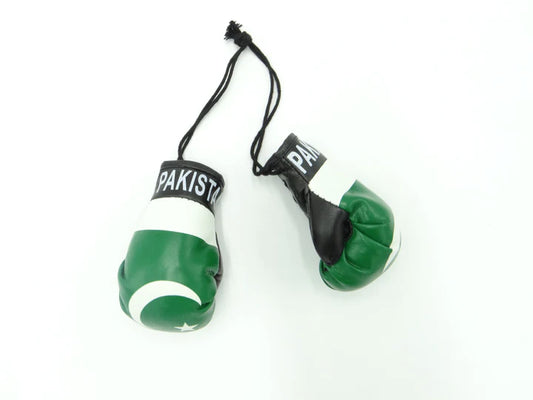 Pakistan Boxing Gloves