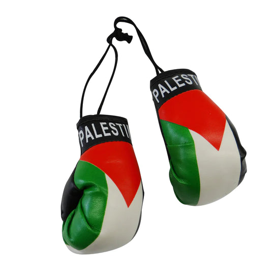 Palestine Boxing Gloves