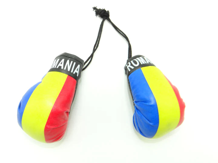 Romania Boxing Gloves