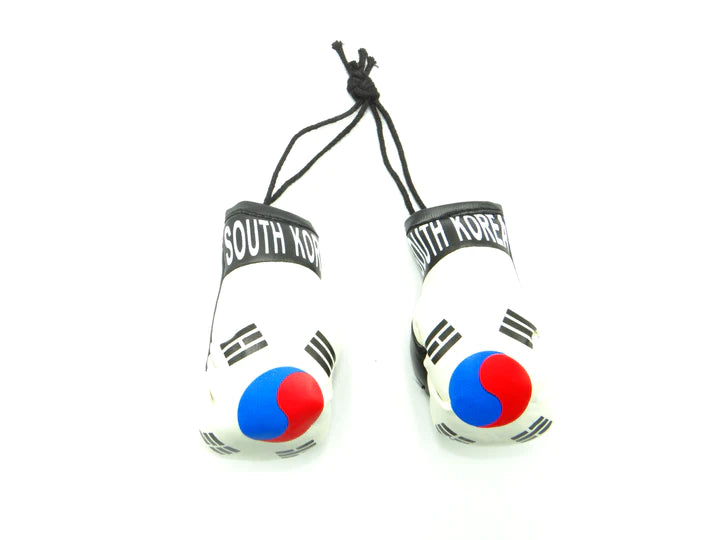 South Korea Boxing Gloves