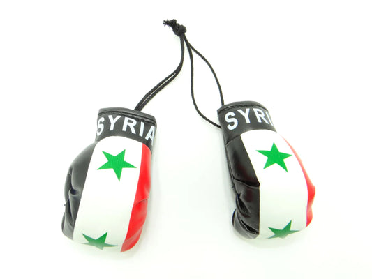 Syria Boxing Gloves
